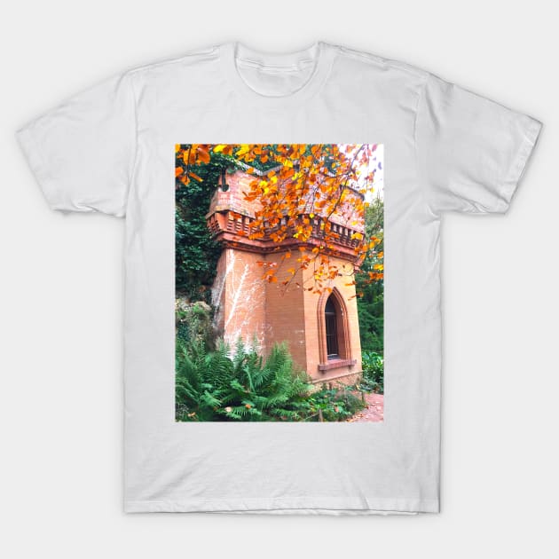 Wolf Valley Arboretum T-Shirt by dreamtravel